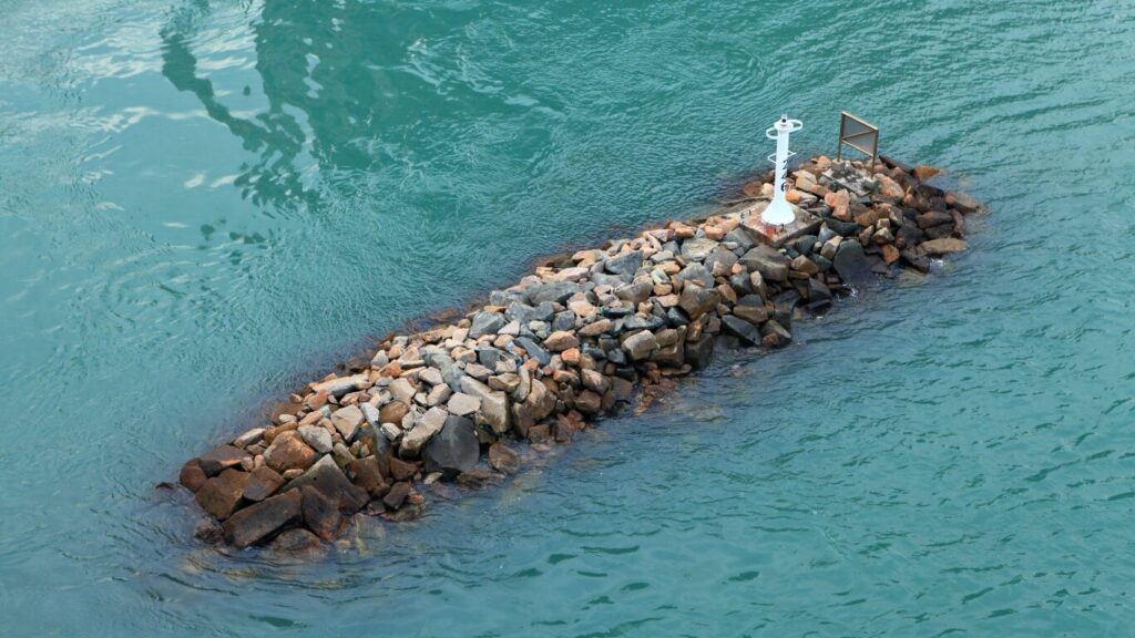 イソメの生息地と釣りや養殖の関連