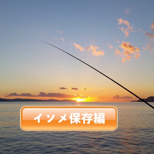 イソメ保存の道具と温度計