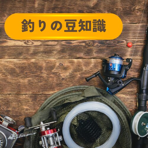 マナー・衛生・処分・外来種のメモ