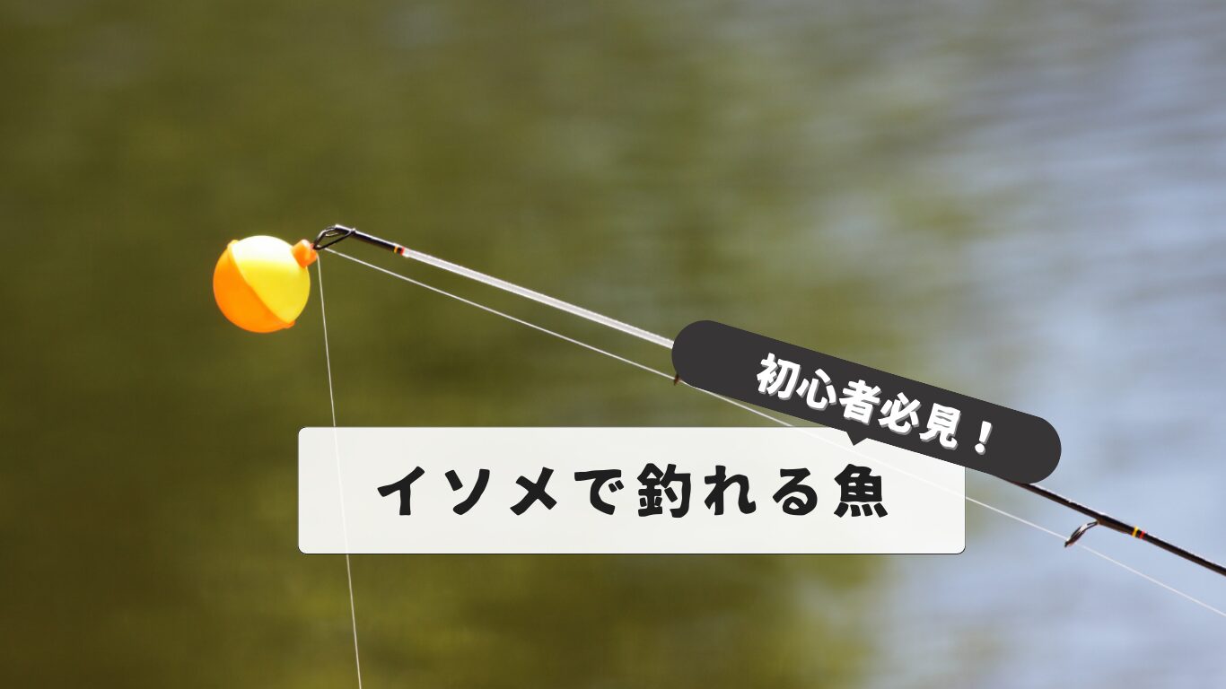 Fish that can be caught with earthworms