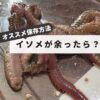 Storage of blue worms