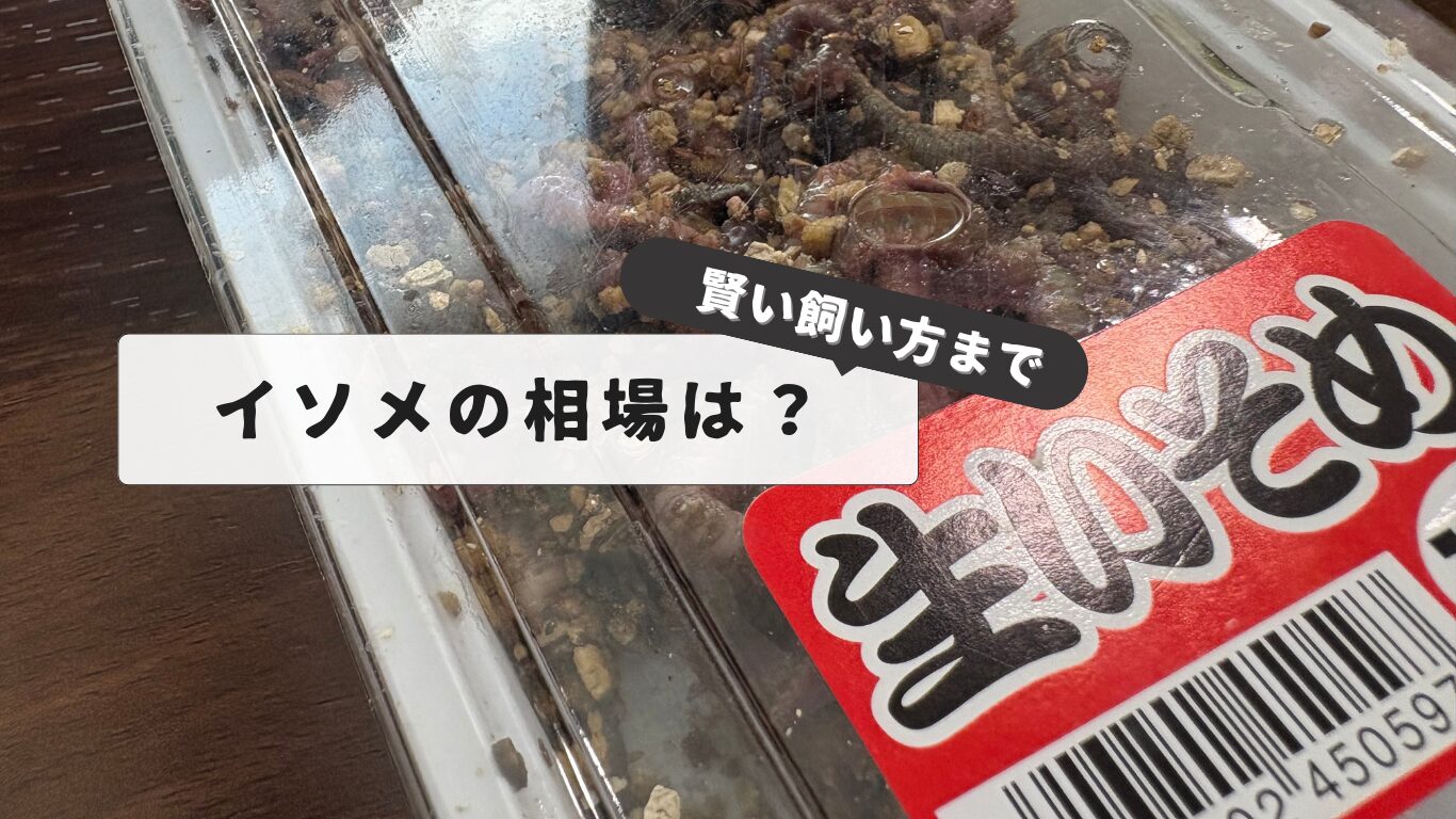 Price of earthworms