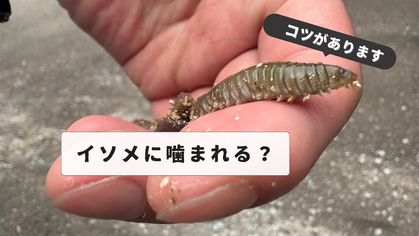Earthworm chewing