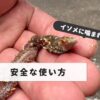 Earthworm mouth